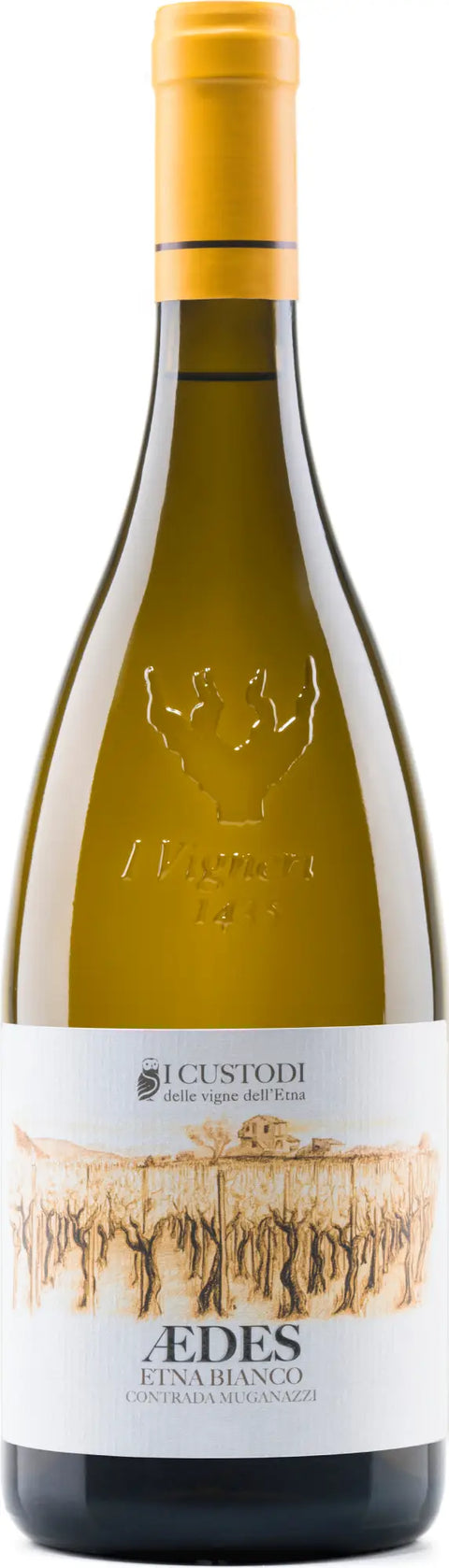 Aedes Etna Bianco DOC 2023 75cl