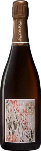 Blanc de Blanc Brut-Nature Champagne 75cl