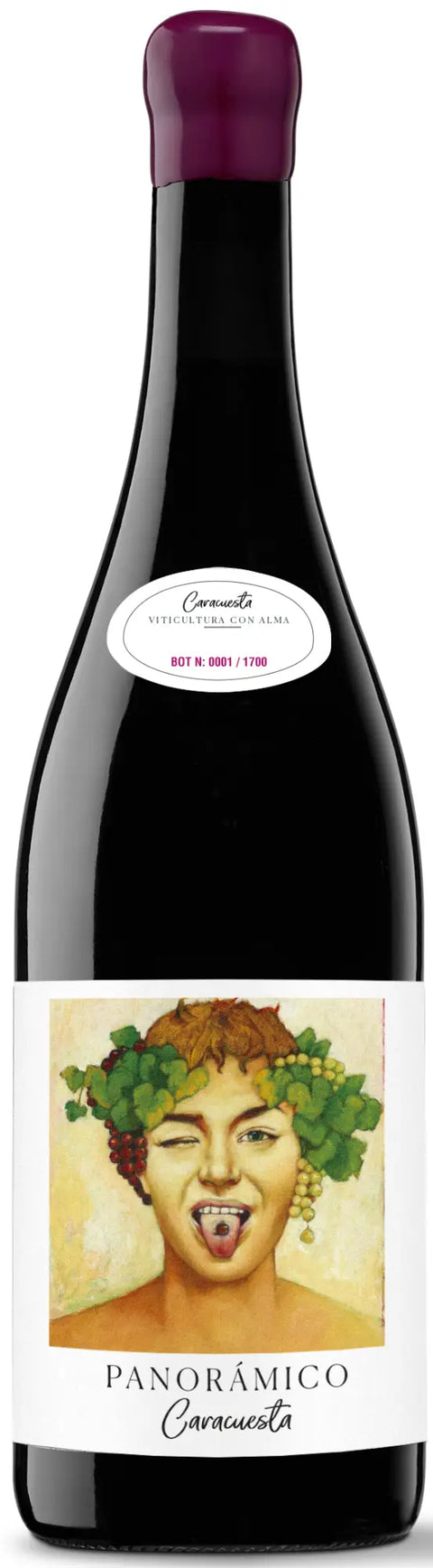 Panorámico Caracuesta DOCa Rioja 2017 75cl