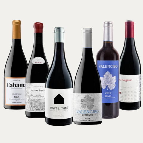 Tempranillo Paket – 6 Weine aus Ribera del Duero & Rioja