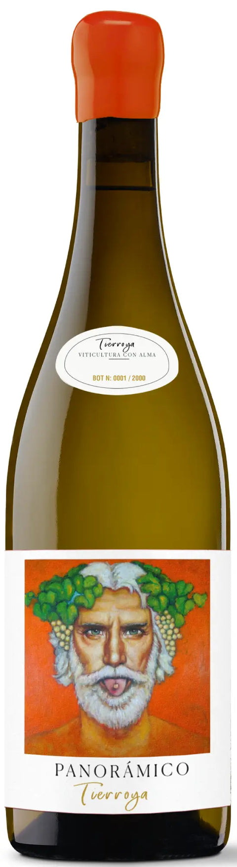 Panorámico Tierroya DOCa Rioja 2017 75cl